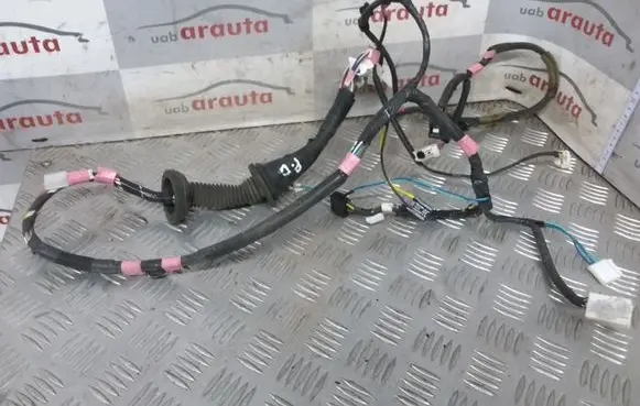 Front door wiring loom