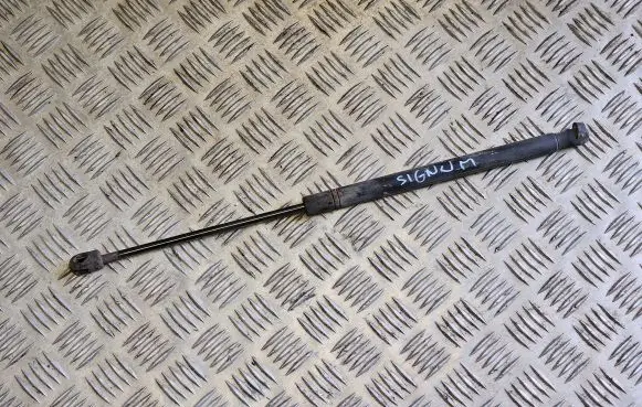 Opel Signum Tailgate/trunk strut/damper 13191401 6027TJ0700N