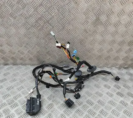 Aston Martin DB11 Front door wiring loom KY5314631CB