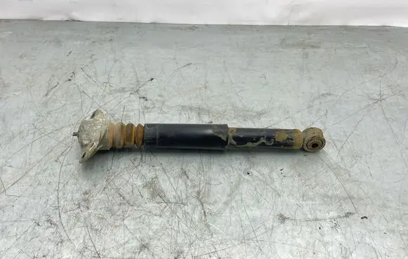 Volkswagen Golf Plus Rear shock absorber/damper 1K0513029
