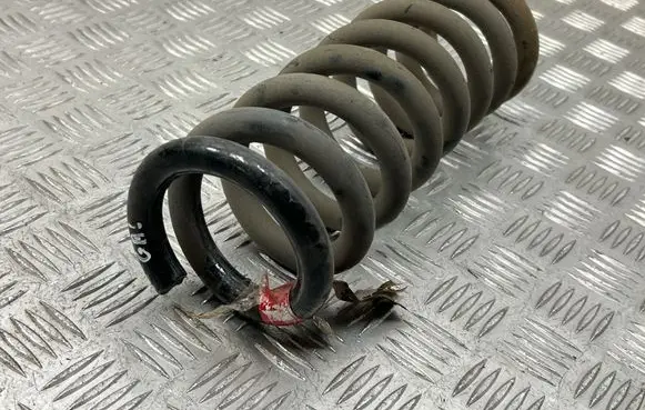 Dodge Charger Rear coil spring 