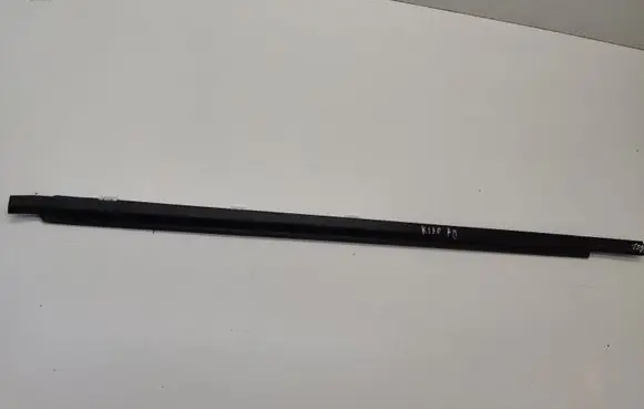 Front door trim (molding)