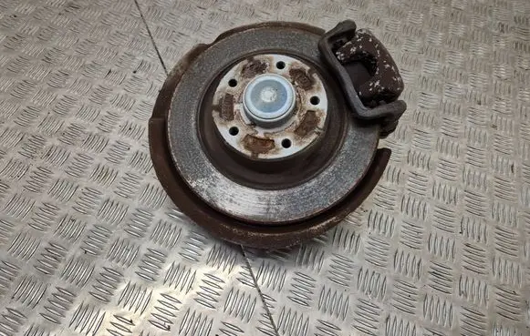 Renault Scenic IV - Grand scenic IV Rear wheel hub 440008660R