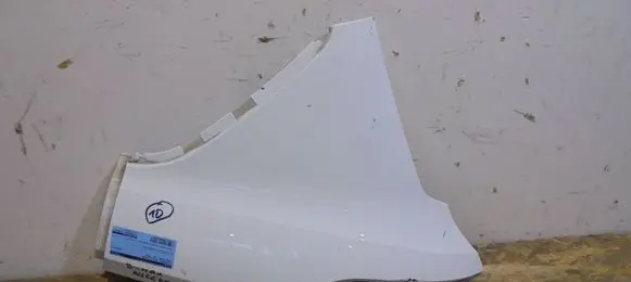Fender trim (molding)