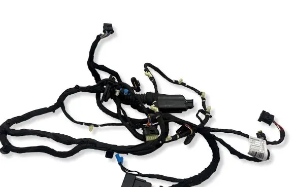BMW X5 G05 Front door wiring loom 8779790 97112511 11706110