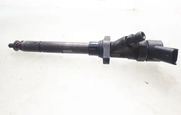 Citroen C5 Fuel injector 0445110036 9637277980
