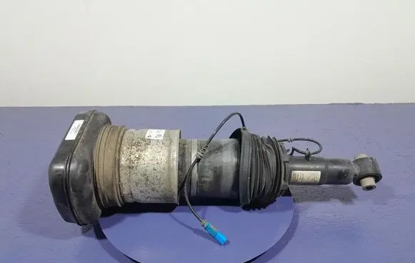 BMW X7 G07 Rear shock absorber/damper 7831561