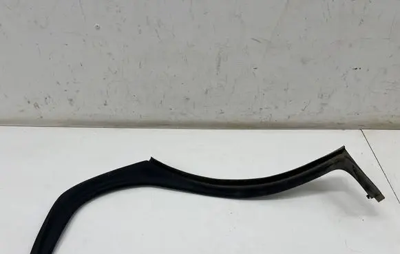 Porsche Taycan 9J1 Rubber seal rear door 9J1839776A