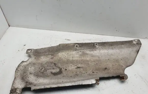 BMW 2 F22 F23 Rear door rubber seal (on body) 7234933