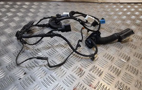 Audi A4 S4 B9 Front door wiring loom 8W0971029AK