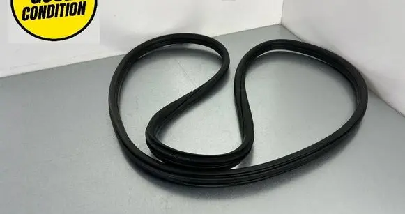 BMW X1 F48 F49 Rear door rubber seal (on body) 7349665