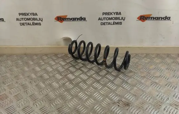 Volkswagen Tiguan Rear coil spring