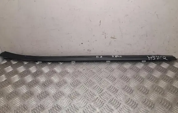 Rear door trim (molding)