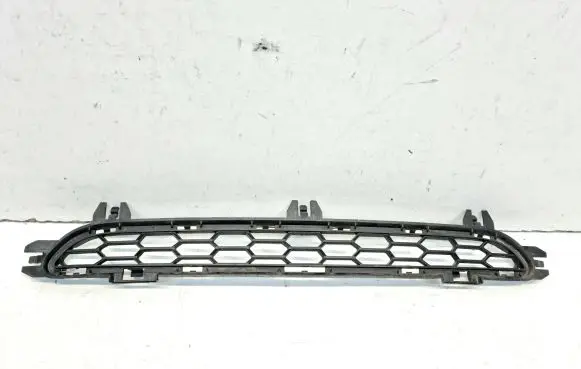 BMW X3 F25 Front bumper lower grill 8048096