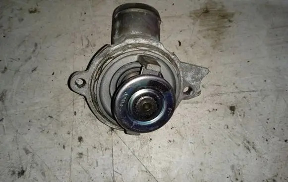 Thermostat/thermostat housing