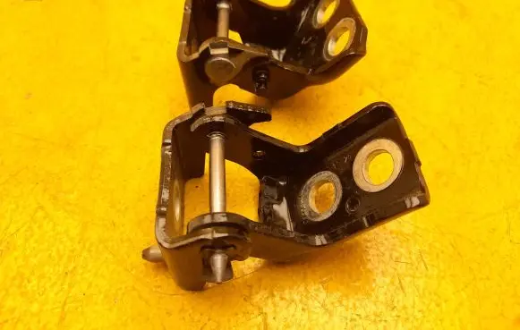 Citroen DS4 Rear door lower hinge