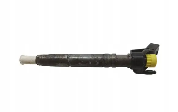 Mercedes-Benz Sprinter W906 Fuel injector A6460701487