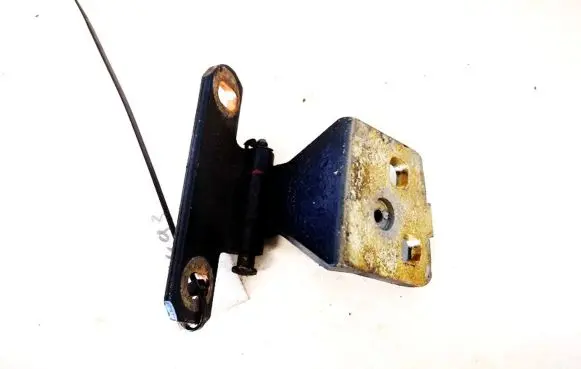 Renault Laguna I Rear door lower hinge