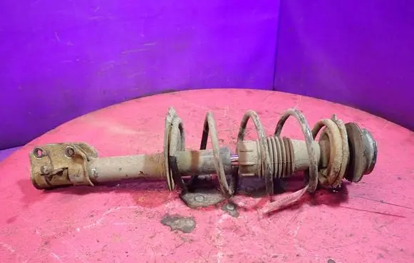 Fiat Punto (188) Front shock absorber with coil spring