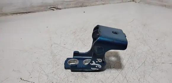 Renault Megane III Rear door lower hinge 804200003