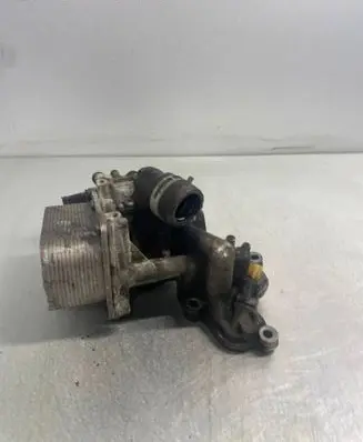 Nissan Qashqai+2 Oil filter mounting bracket 10L05