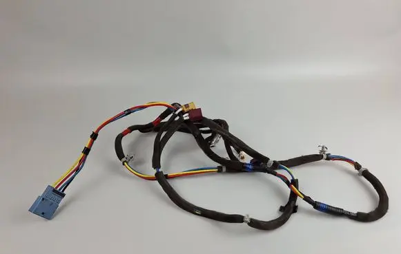 Hyundai Santa Fe Other wiring loom 96220S1EB0