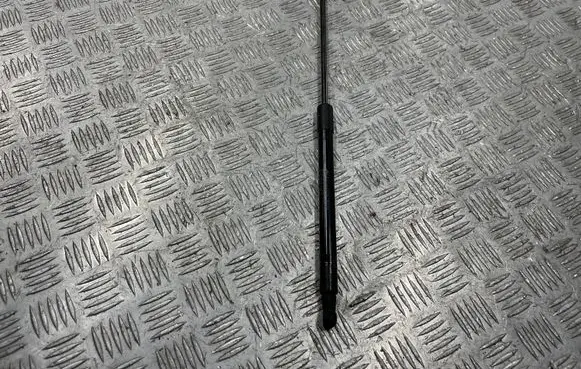 BMW M6 Front bonnet/hood damper/strut 7275643