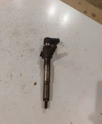 Renault Laguna III Fuel injector 166009445R