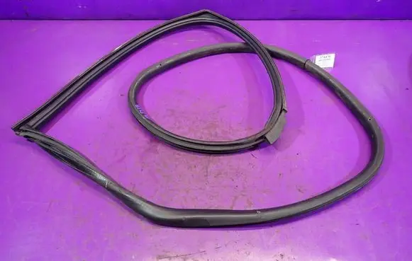 Mini One - Cooper R50 - 53 Front door rubber seal 