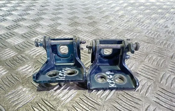 Citroen C4 Grand Picasso Rear door hinge set 