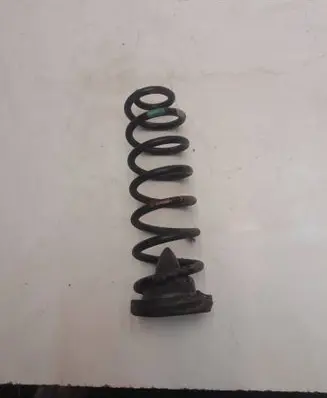 Renault Scenic II - Grand scenic II Rear coil spring
