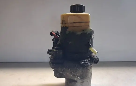 Ford Focus Power steering pump