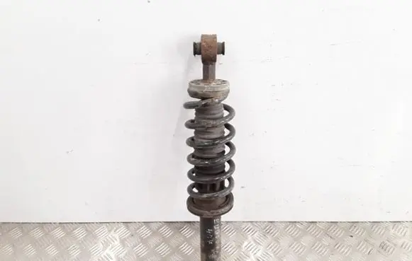 Peugeot 407 Rear shock absorber with coil spring 7030
