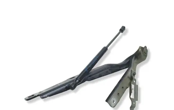 Dodge Charger Engine bonnet/hood hinges 55113551AF