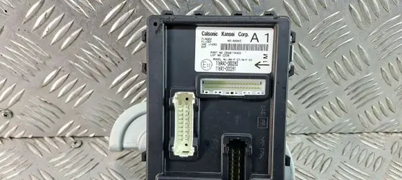 Nissan Juke I F15 Other control units/modules 116RAI000280