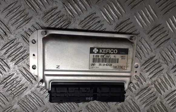 Hyundai Getz Engine control unit/module ECU 39110-02420