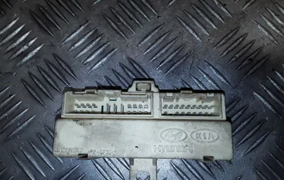 KIA Carens I Other control units/modules PPGF20