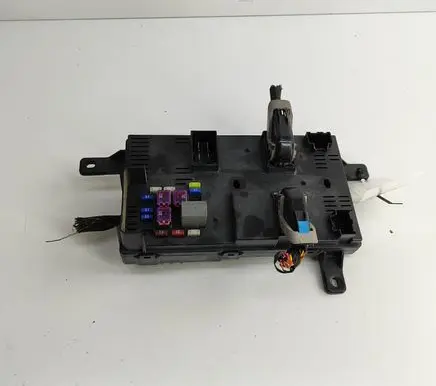 KIA Carnival Fuse module 919584D089