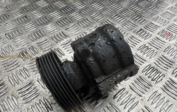 Renault Kangoo I Power steering pump
