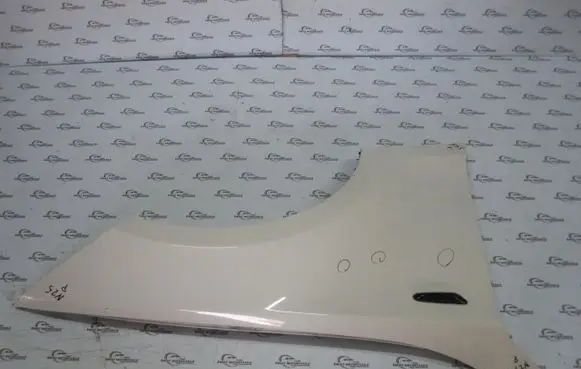 Fender