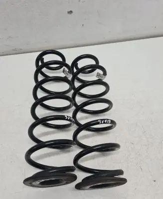 Rear coil spring