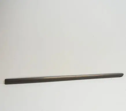 Front door trim (molding)