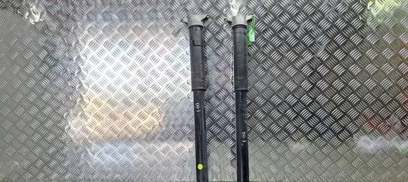 Ford Focus Rear shock absorber/damper S25145093 BV6118080AAG