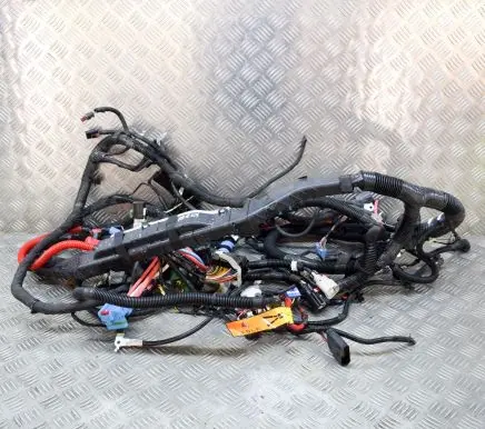 Tesla Model Y Other wiring loom 248905807B