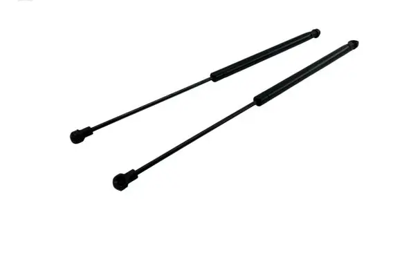Tailgate/trunk strut/damper