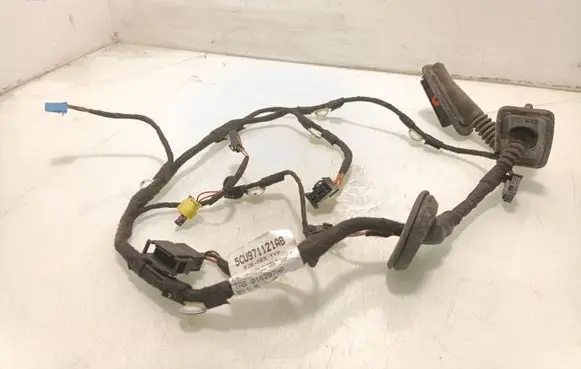Volkswagen Jetta VI Front door wiring loom 5CU971121AB