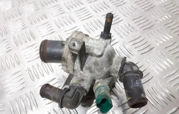 Thermostat/thermostat housing