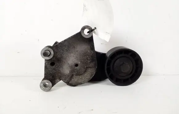 Volvo V50 Timing belt/chain tensioner 