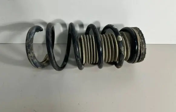 Front coil spring