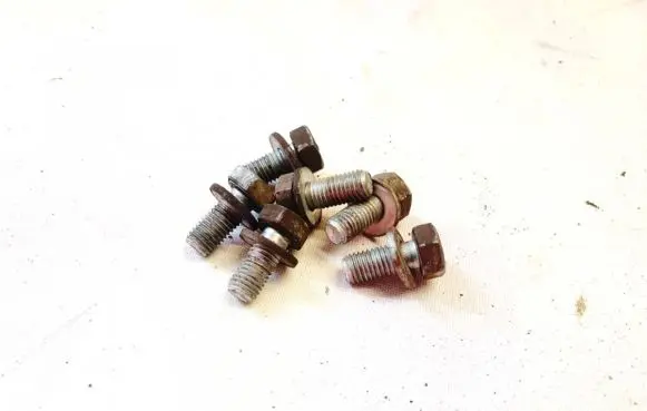 Renault Scenic I Nuts/bolts 